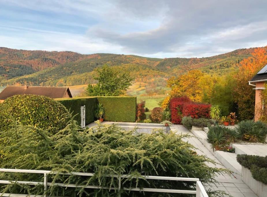 Logement De Charme Au Coeur De La Nature Osenbach 외부 사진