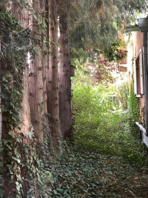 Logement De Charme Au Coeur De La Nature Osenbach 외부 사진