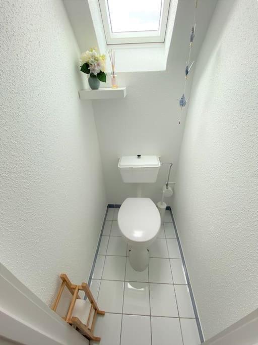 Logement De Charme Au Coeur De La Nature Osenbach 외부 사진