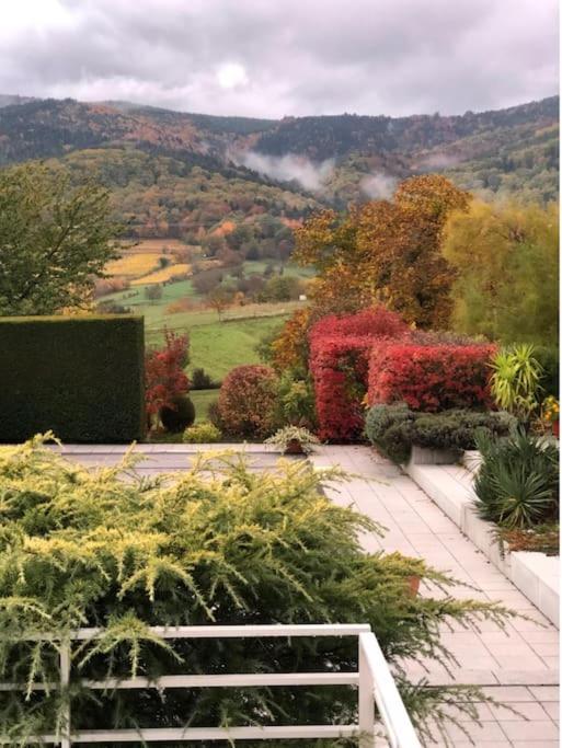 Logement De Charme Au Coeur De La Nature Osenbach 외부 사진
