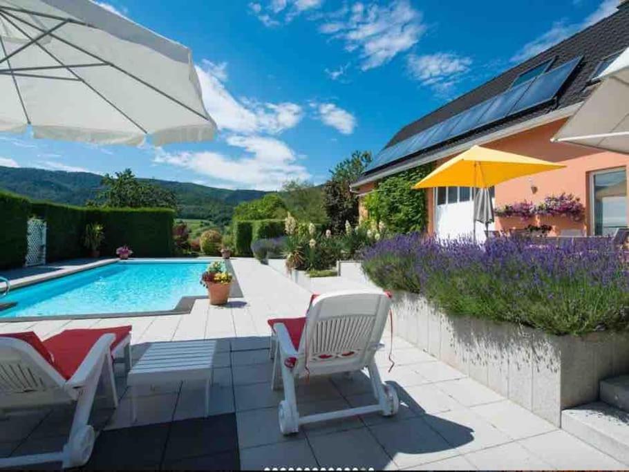Logement De Charme Au Coeur De La Nature Osenbach 외부 사진